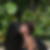 Photo de profil de Catherine Antona