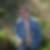 Photo de profil de Jeanfrancois Bou