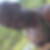 Photo de profil de Patrick Sildillia