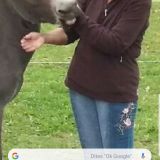 Photo de profil de Christine Raulet
