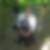 Photo de profil de Jimmy Descloux