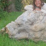 Photo de profil de Myriam Dinerce