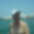 Photo de profil de Rabah Gherbi