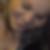Photo de profil de Cristelle Giannico