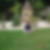 Photo de profil de Raymond Castin