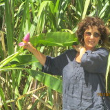 Photo de profil de Catherine Dupuy