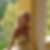 Photo de profil de Catherine Pierre