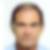 Photo de profil de Roland Maucci
