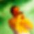 Photo de profil de Frederic Algarra