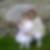 Photo de profil de Nelly Bleubar
