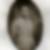 Photo de profil de Joseph Lacaille