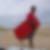 Photo de profil de William Bourges