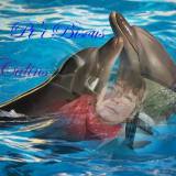 Photo de profil de Eliette Besse