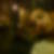 Photo de profil de Assefar Ahmed