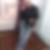 Photo de profil de Henrique Da Silva