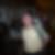 Photo de profil de Bruno Billon