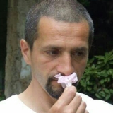 Photo de profil de David Vallon