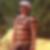 Photo de profil de Bruno Ducos