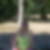 Photo de profil de Catherine Lochet