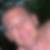 Photo de profil de nonclercq gerard