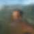 Photo de profil de Ludovic Lamé