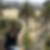Photo de profil de Monia Godhbani