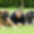 Photo de profil de Jean Claude Thomas