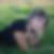 Photo de profil de Cindy Willemant