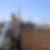 Photo de profil de Lionel Genter