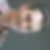 Photo de profil de Roch Petitdemange