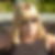 Photo de profil de Micheline Barth