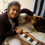 Photo de profil de Solange van Mullem