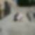 Photo de profil de Regis Salmon