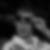 Photo de profil de Olivier Duhoo