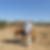Photo de profil de Bruno George