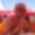 Photo de profil de Christian Dubroeucq