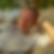 Photo de profil de Jean Marc Moreau