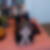 Photo de profil de Julie Lesage