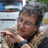 Photo de profil de Jean Dupain