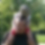 Photo de profil de David Duchemin