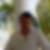 Photo de profil de Lalo Claude