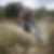 Photo de profil de Patrick Lelong