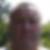 Photo de profil de Bruno Chabrerie