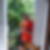 Photo de profil de Teddy Grondin