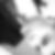 Photo de profil de Louis Guillaume Berhault