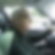 Photo de profil de François Grimont