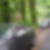 Photo de profil de Jose Swindells