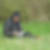 Photo de profil de Christian Avril