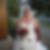 Photo de profil de Charlotte Mullot