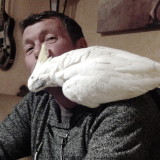 Photo de profil de Didier Obert